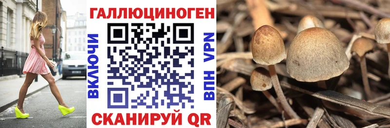 Псилоцибиновые грибы прущие грибы  Гдов 
